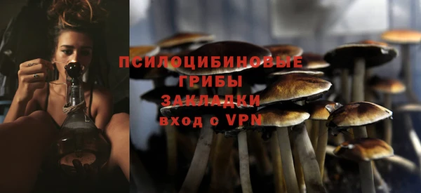 тгк Майский