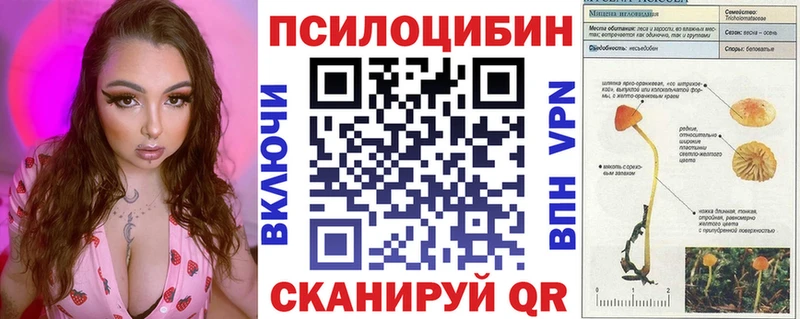 купить наркотик  Лобня  Псилоцибиновые грибы Magic Shrooms 