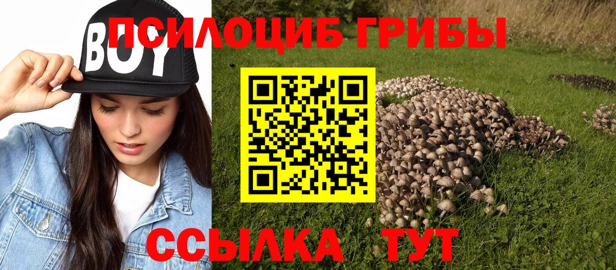 Псилоцибиновые грибы прущие грибы Лобня
