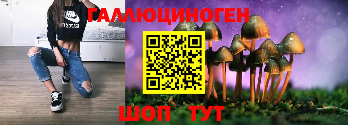 Псилоцибиновые грибы прущие грибы  Вход с VPN  Лобня  где найти   Псилоцибиновые грибы Cubensis 